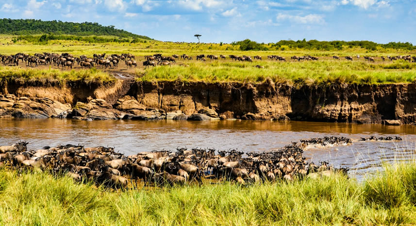 3 days maasai mara national reserve_