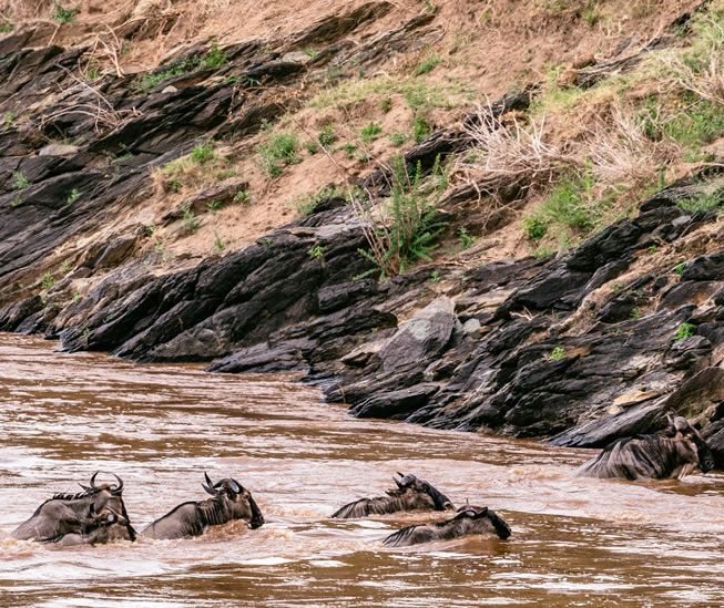 3 days maasai mara national reserve_