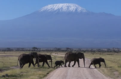 mt_kilimanjaro